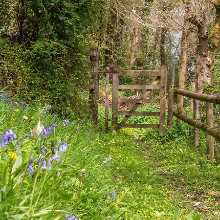Nutsford House Bed & Breakfast-2
